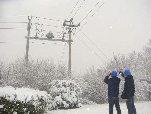 大阳城集团娱乐游戏与您分享-冬季如何保护电线电缆？